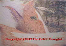 Horse colored pencil
