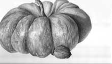Fairytale pumpkin illustration