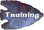 Horse training